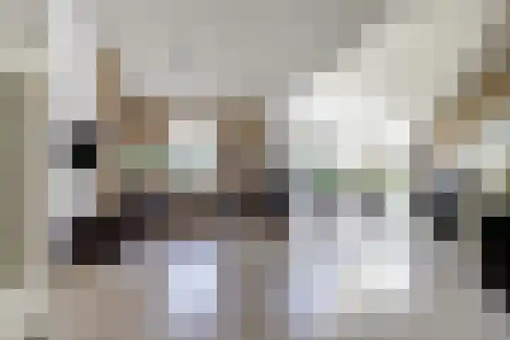 Grevelingenlaan 8 Burgh-Haamstede thumbnail 6