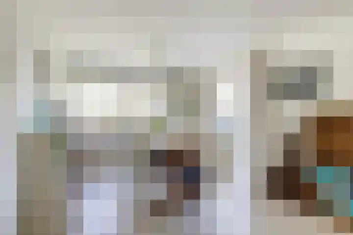 Grevelingenlaan 8 Burgh-Haamstede thumbnail 8