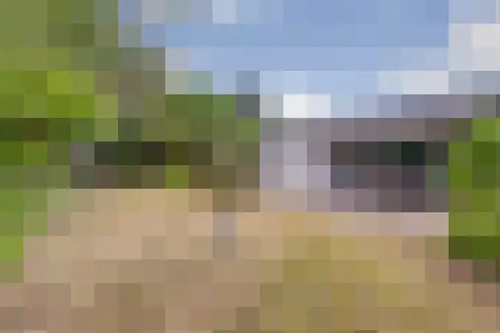Grevelingenlaan 8 Scharendijke thumbnail 10