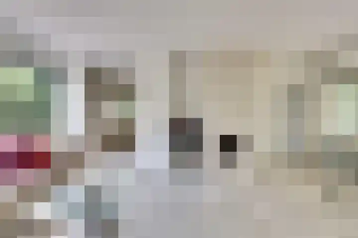 Grevelingenlaan 8 Scharendijke thumbnail 15