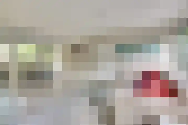 Grevelingenlaan 8 Scharendijke thumbnail 17