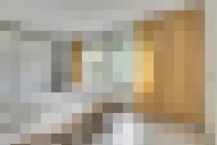 Grevelingenlaan 8 Scharendijke thumbnail 18