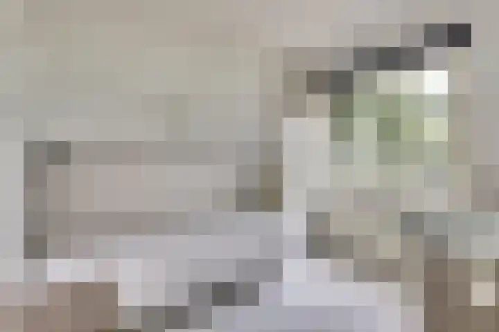 Grevelingenlaan 8 Scharendijke thumbnail 22