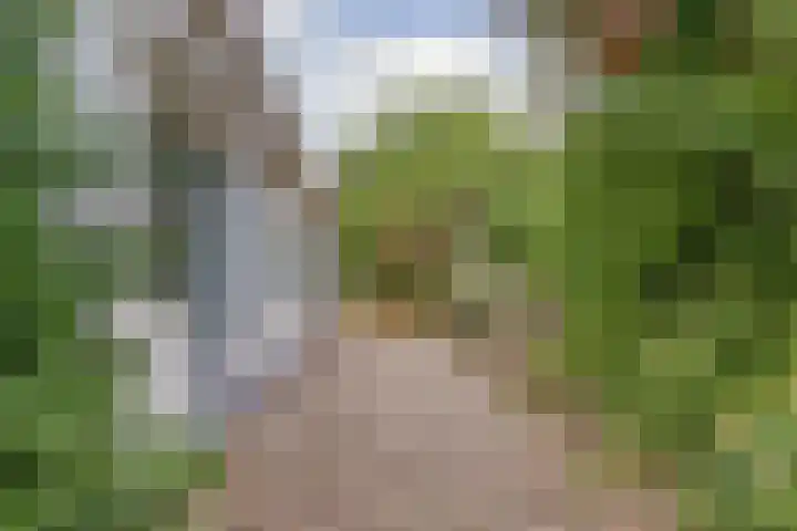 Grevelingenlaan 8 Scharendijke thumbnail 23