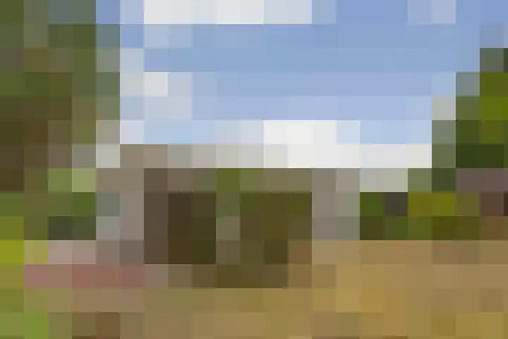 Grevelingenlaan 8 Scharendijke thumbnail 24
