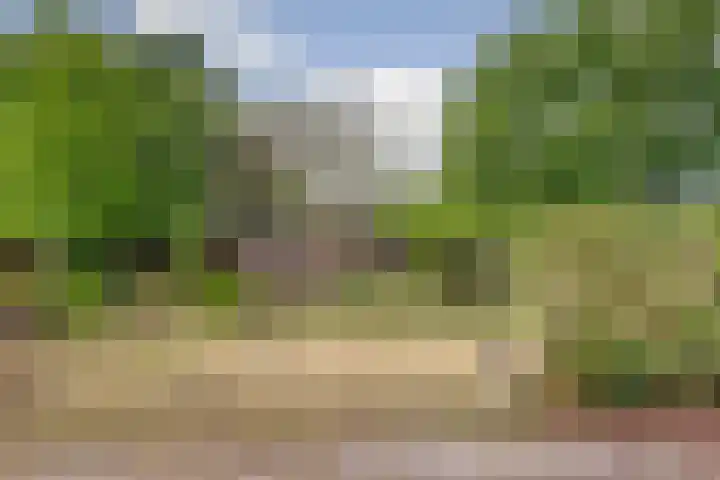 Grevelingenlaan 8 Scharendijke thumbnail 25