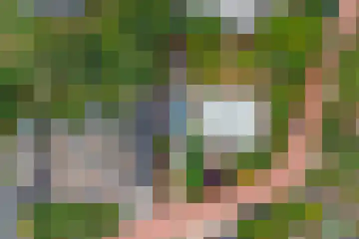 Grevelingenlaan 8 Scharendijke thumbnail 27