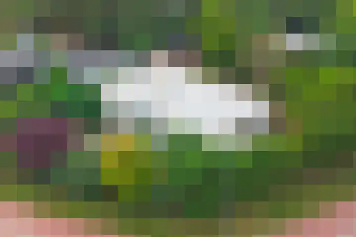 Grevelingenlaan 8 Scharendijke thumbnail 28