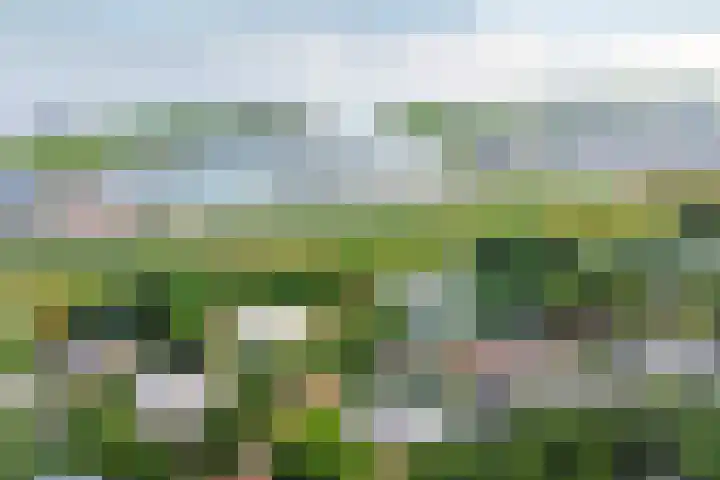 Grevelingenlaan 8 Scharendijke thumbnail 29