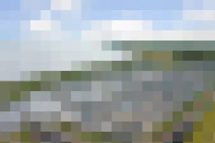 Grevelingenlaan 8 Scharendijke thumbnail 30