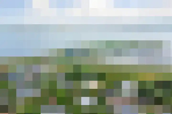 Grevelingenlaan 8 Scharendijke thumbnail 31