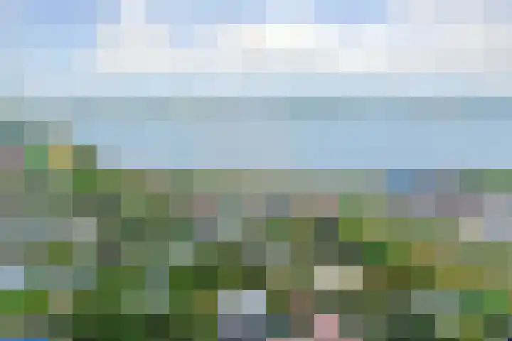 Grevelingenlaan 8 Scharendijke thumbnail 32