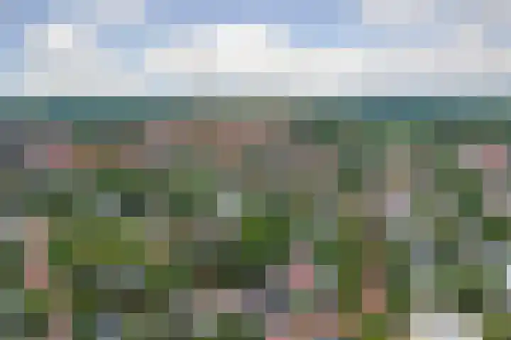 Grevelingenlaan 8 Scharendijke thumbnail 33