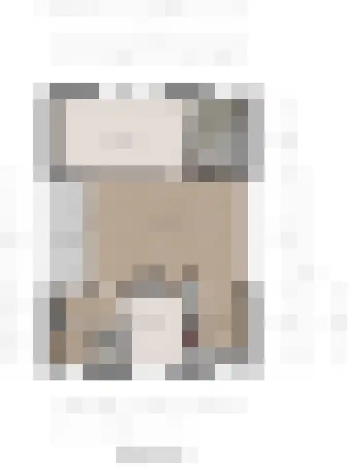 Grevelingenlaan 8 Scharendijke thumbnail 34