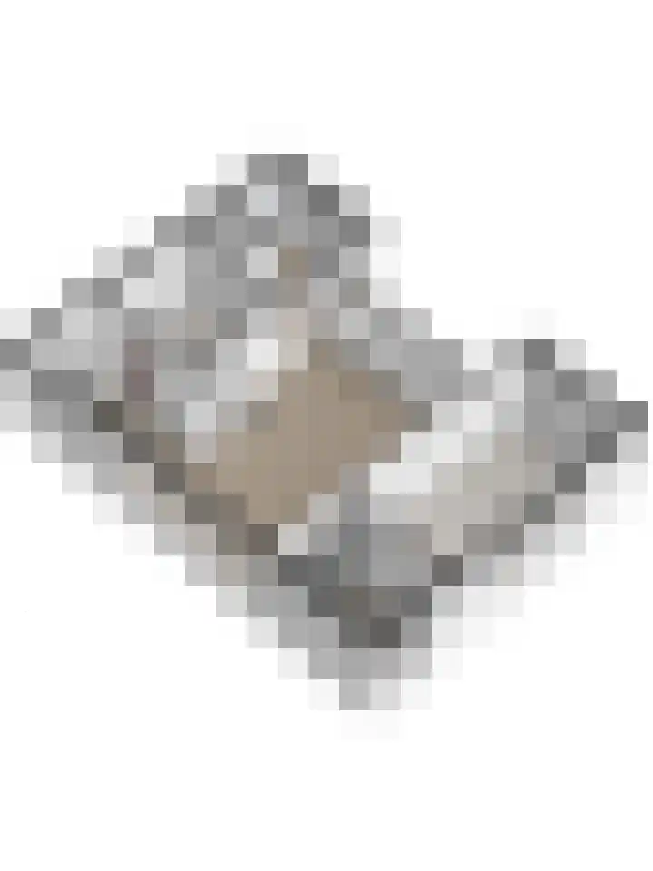 Grevelingenlaan 8 Scharendijke thumbnail 37