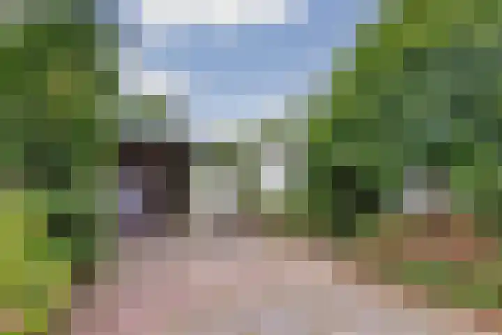 Grevelingenlaan 8 Scharendijke thumbnail 4