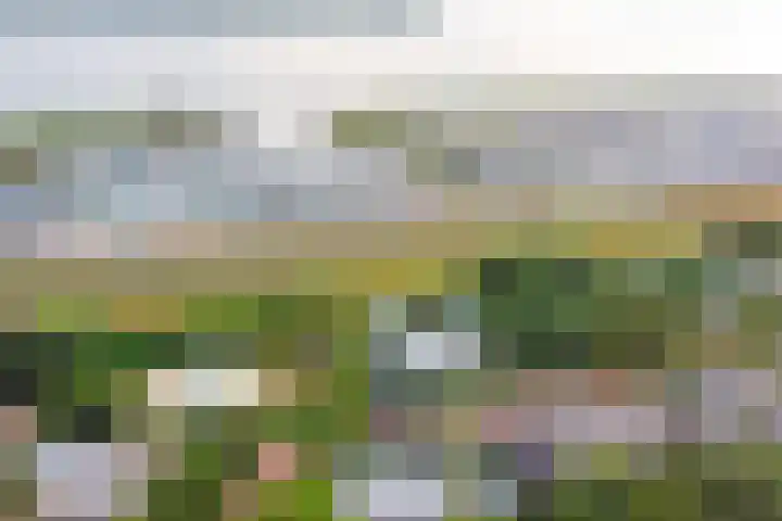 Grevelingenlaan 8 Scharendijke thumbnail 5