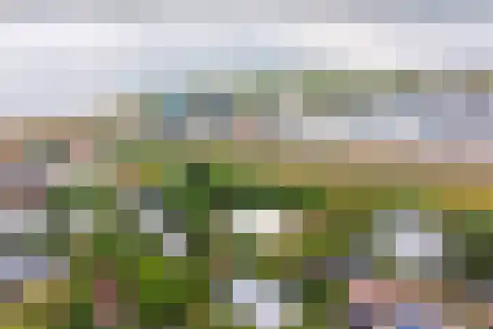 Grevelingenlaan 8 Scharendijke thumbnail 6