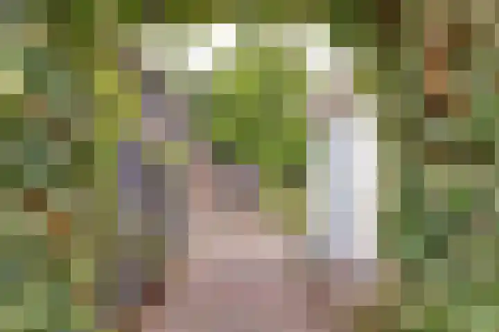 Grevelingenlaan 8 Scharendijke thumbnail 9