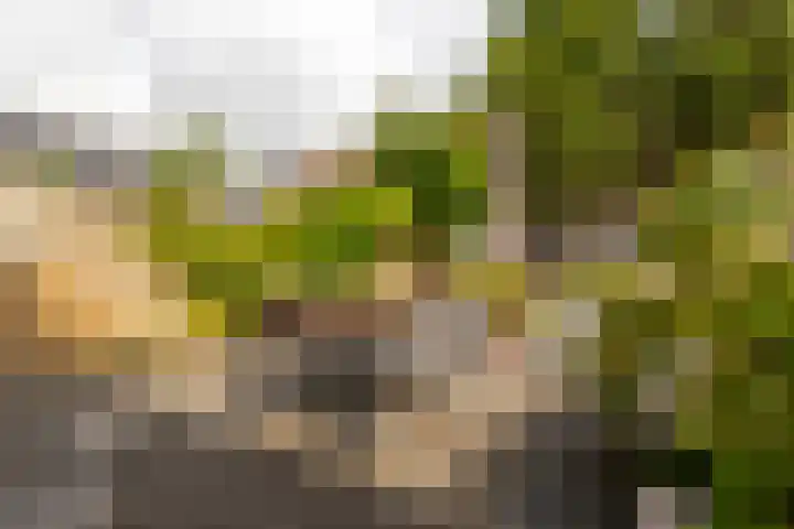 Grevelingenlaan 82 Sliedrecht thumbnail 25
