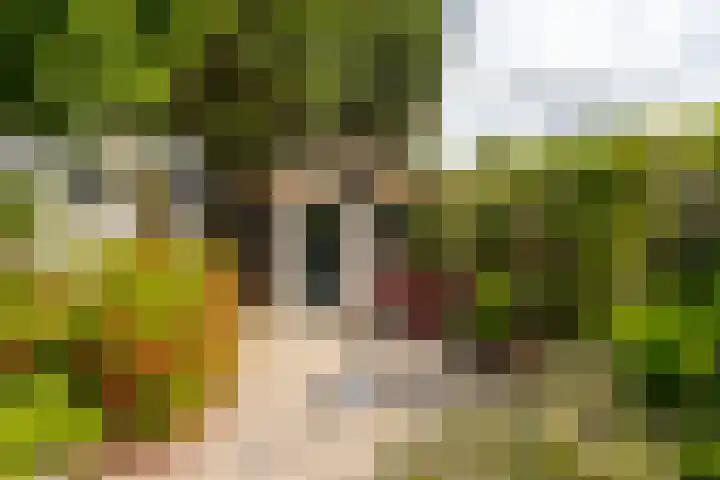 Grevelingenlaan 82 Sliedrecht thumbnail 26