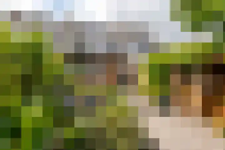 Grevelingenlaan 82 Sliedrecht thumbnail 27
