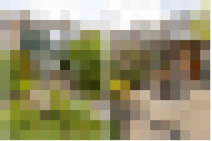 Grevelingenlaan 82 Sliedrecht thumbnail 28
