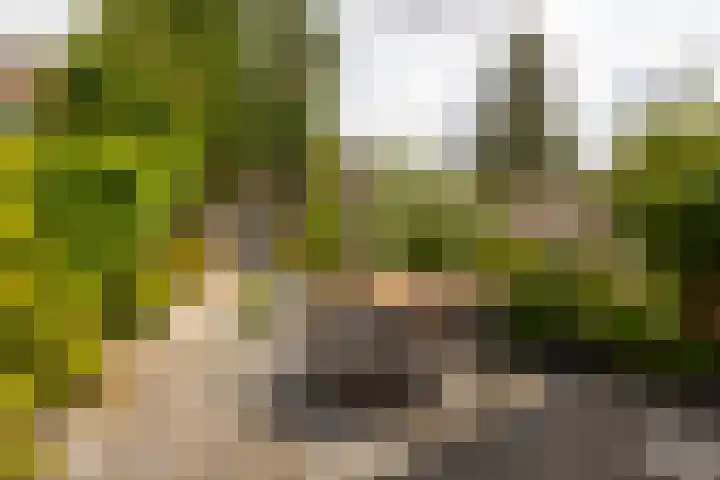 Grevelingenlaan 82 Sliedrecht thumbnail 4