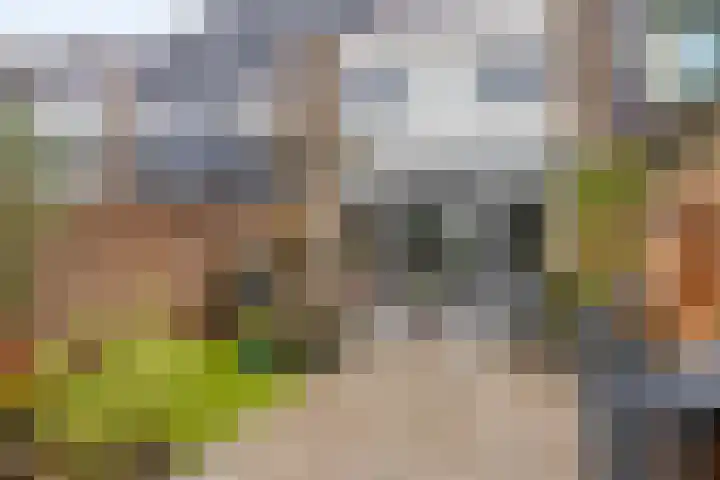 Grevelingenmeer 199 Purmerend thumbnail 38