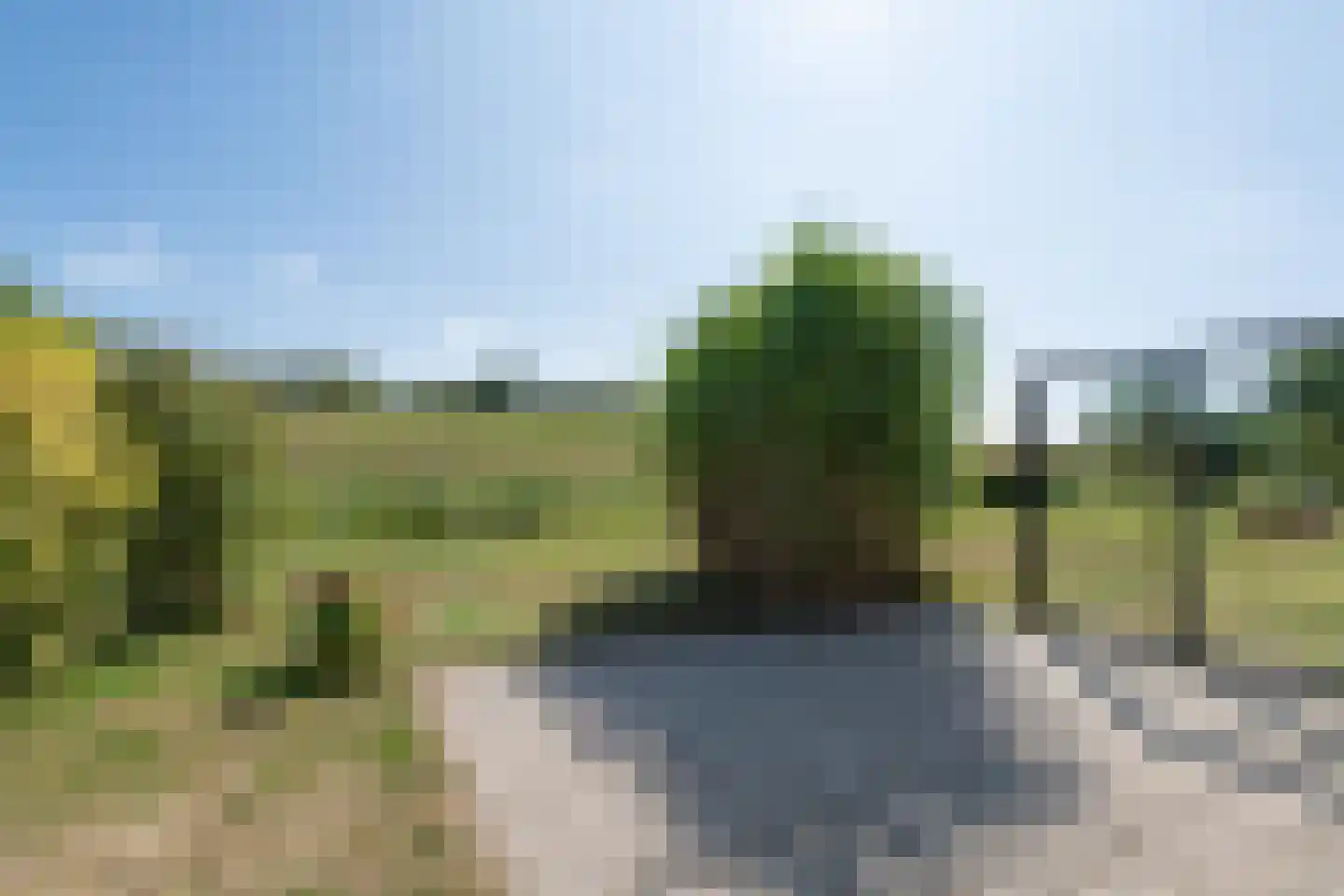 Grevelingenmeer 27 Herkingen thumbnail 6