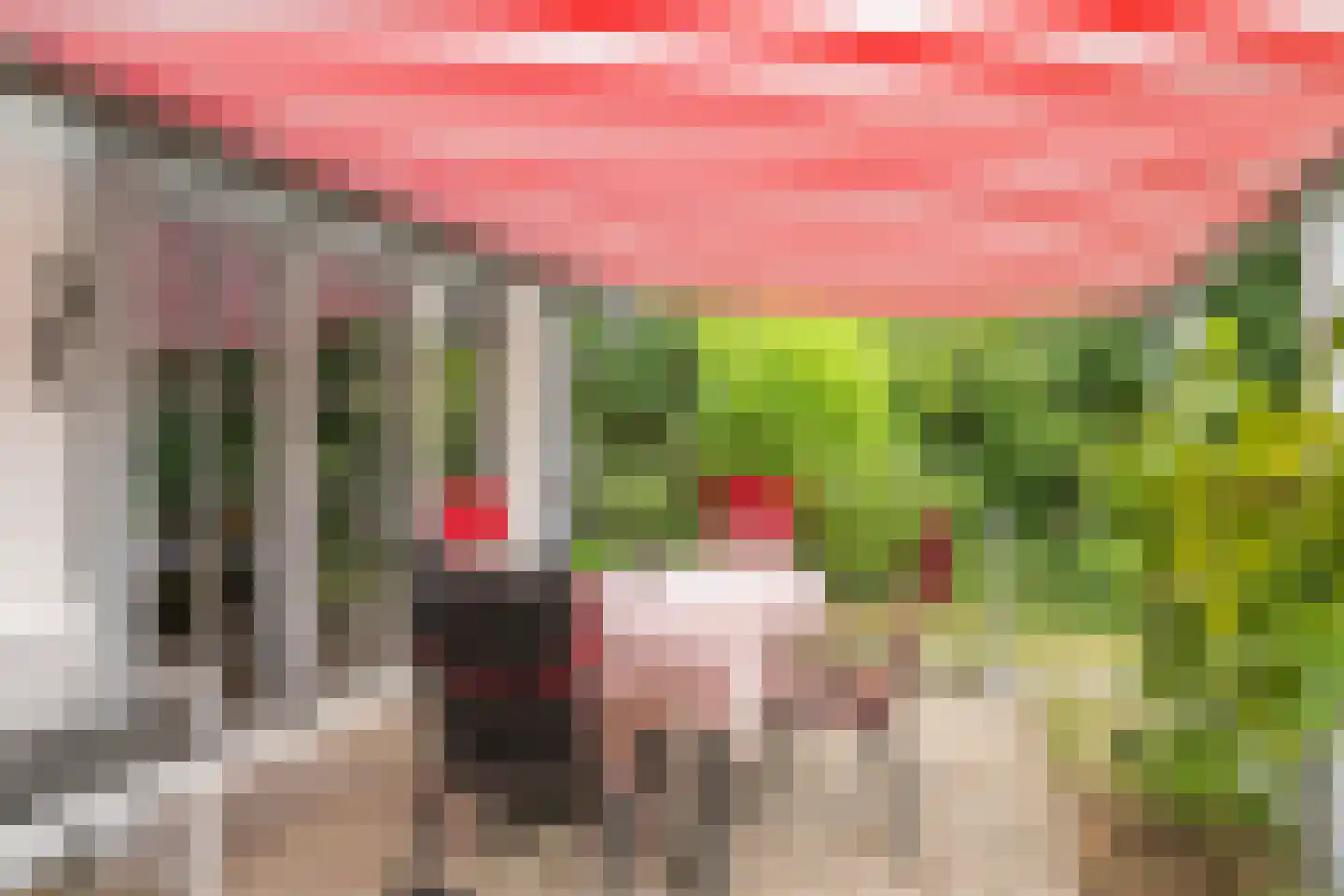 Grevelingenmeer 6 Herkingen thumbnail 25