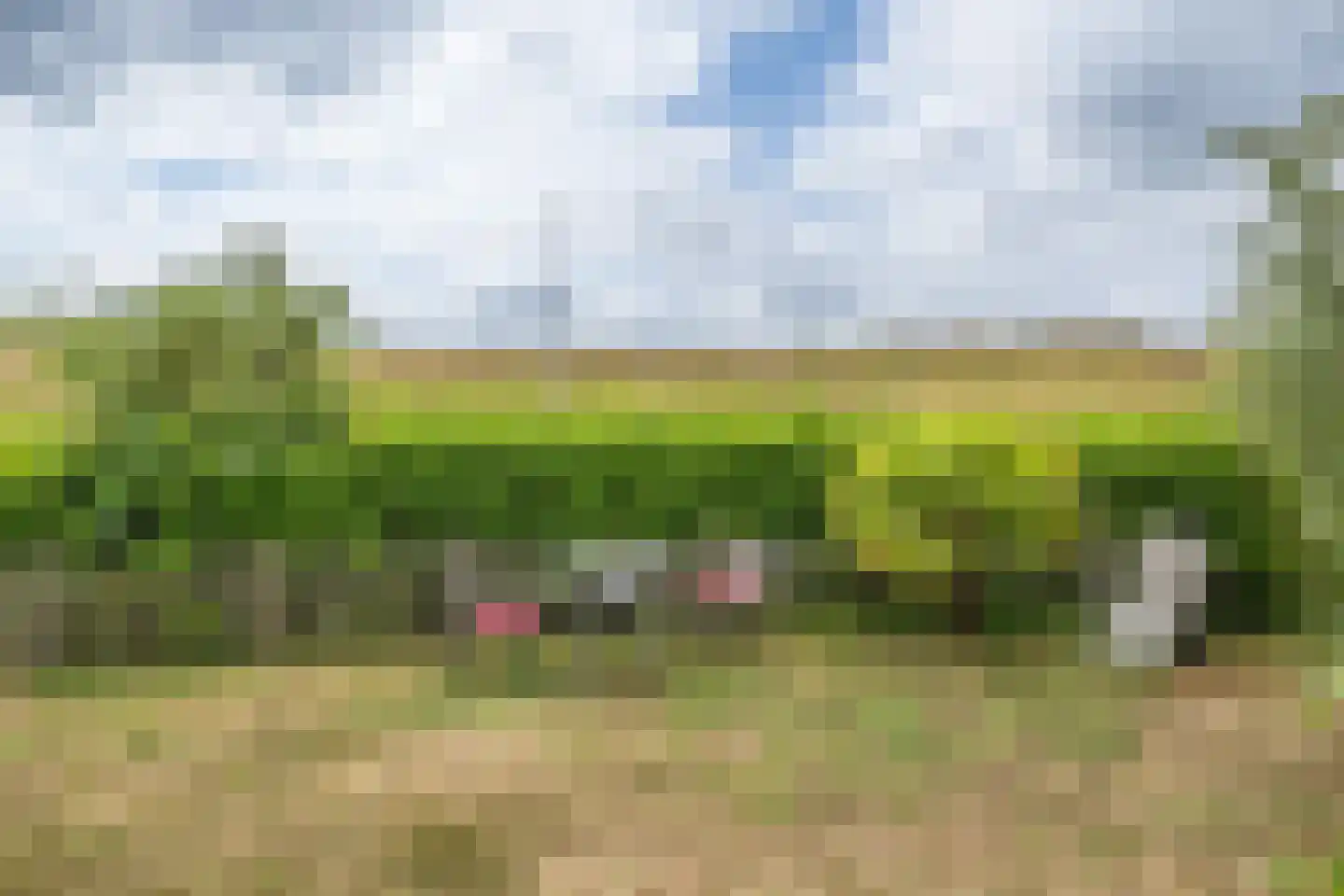 Grevelingenmeer 6 Herkingen thumbnail 26