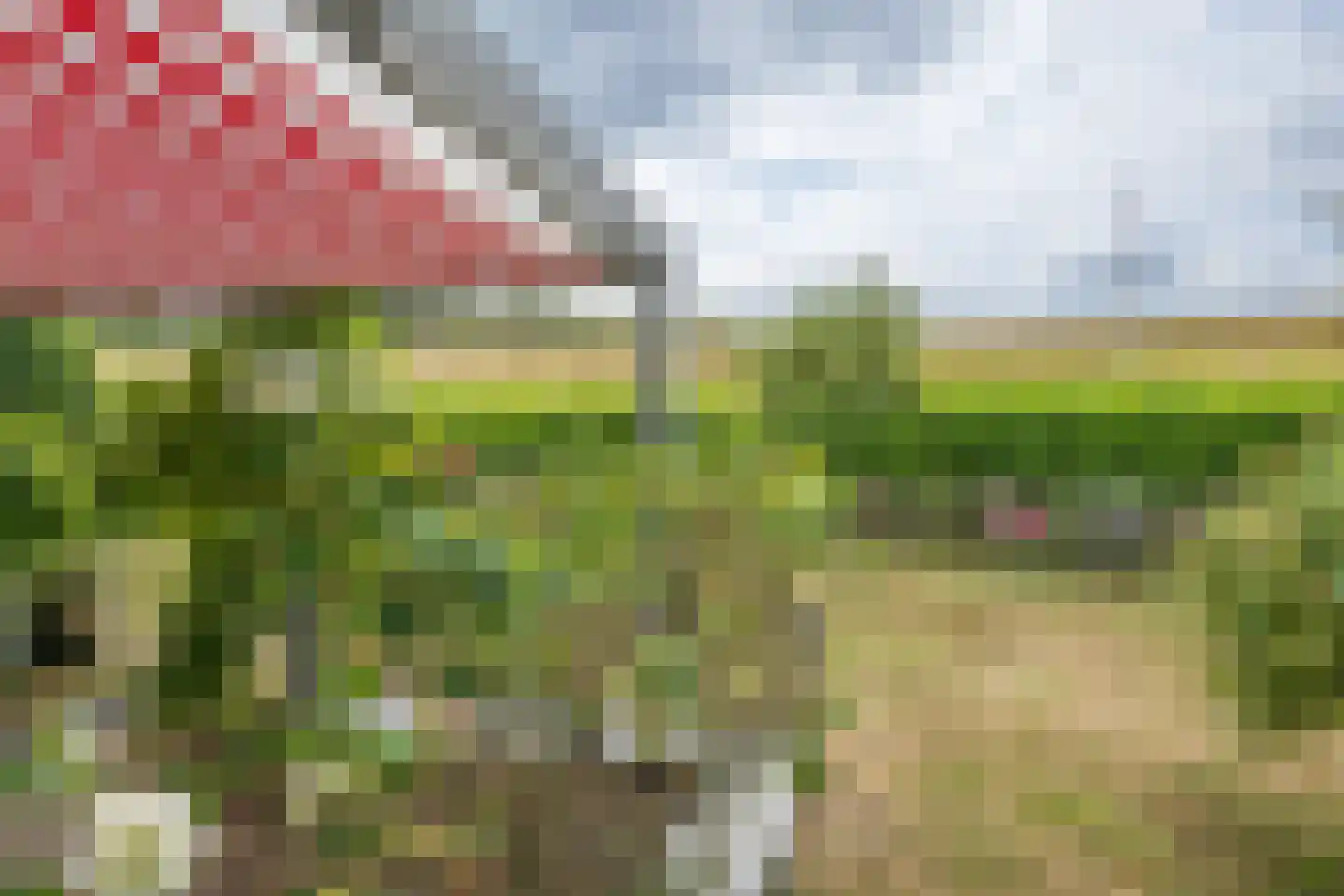 Grevelingenmeer 6 Herkingen thumbnail 29