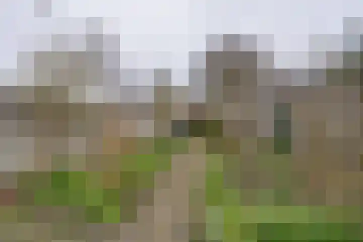 Grevelingenmeer 60 Purmerend thumbnail 31