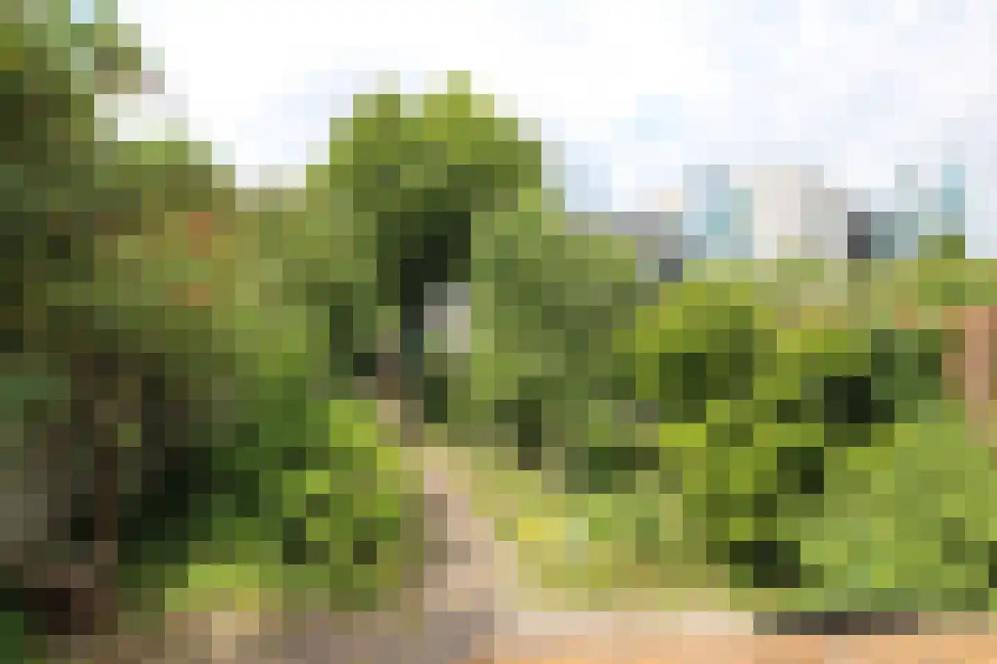 Grevelingenmeer 60 Purmerend thumbnail 31