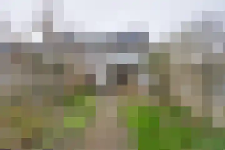 Grevelingenmeer 60 Purmerend thumbnail 32