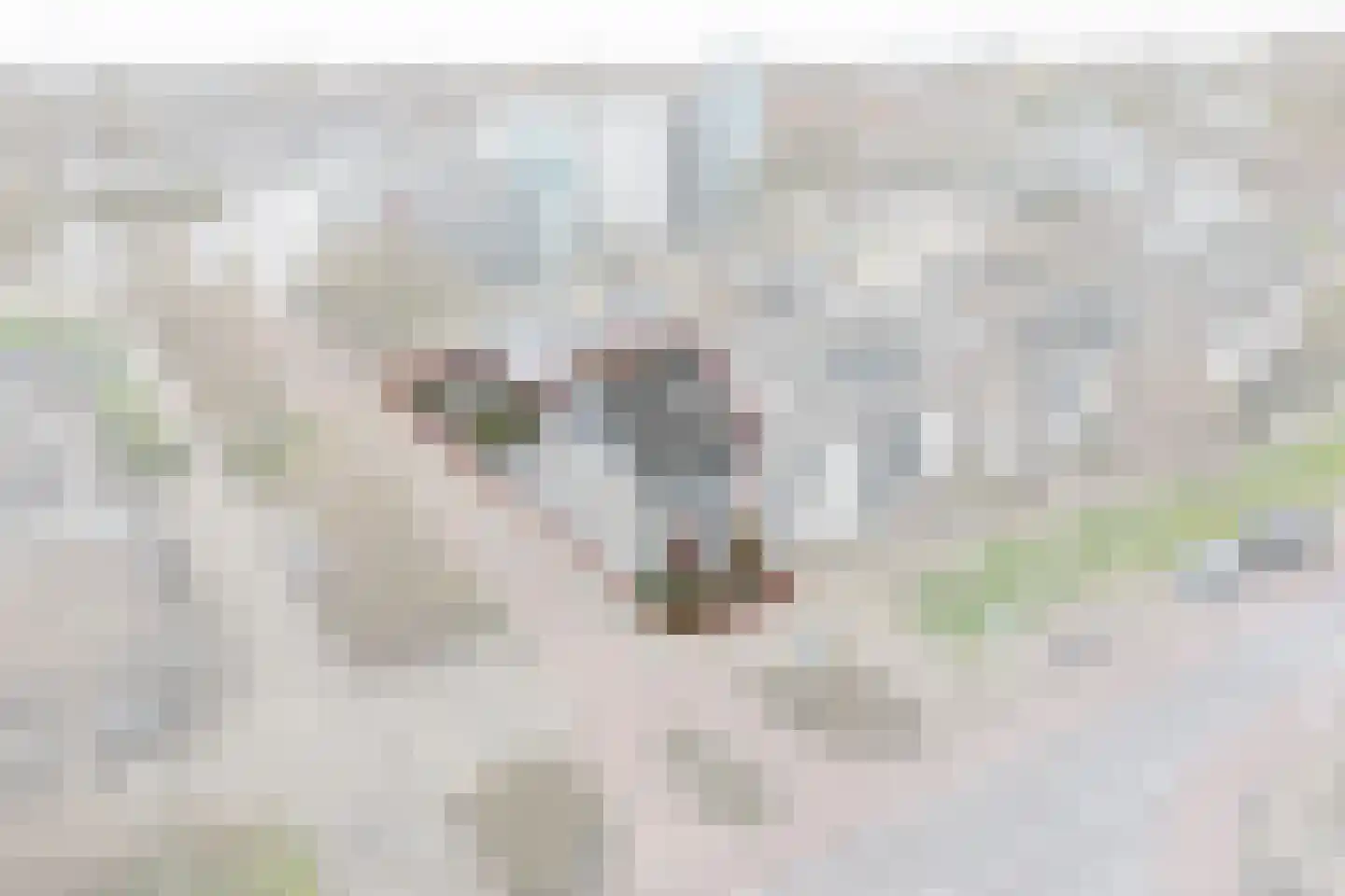 Grevelingenmeer 60 Purmerend thumbnail 6
