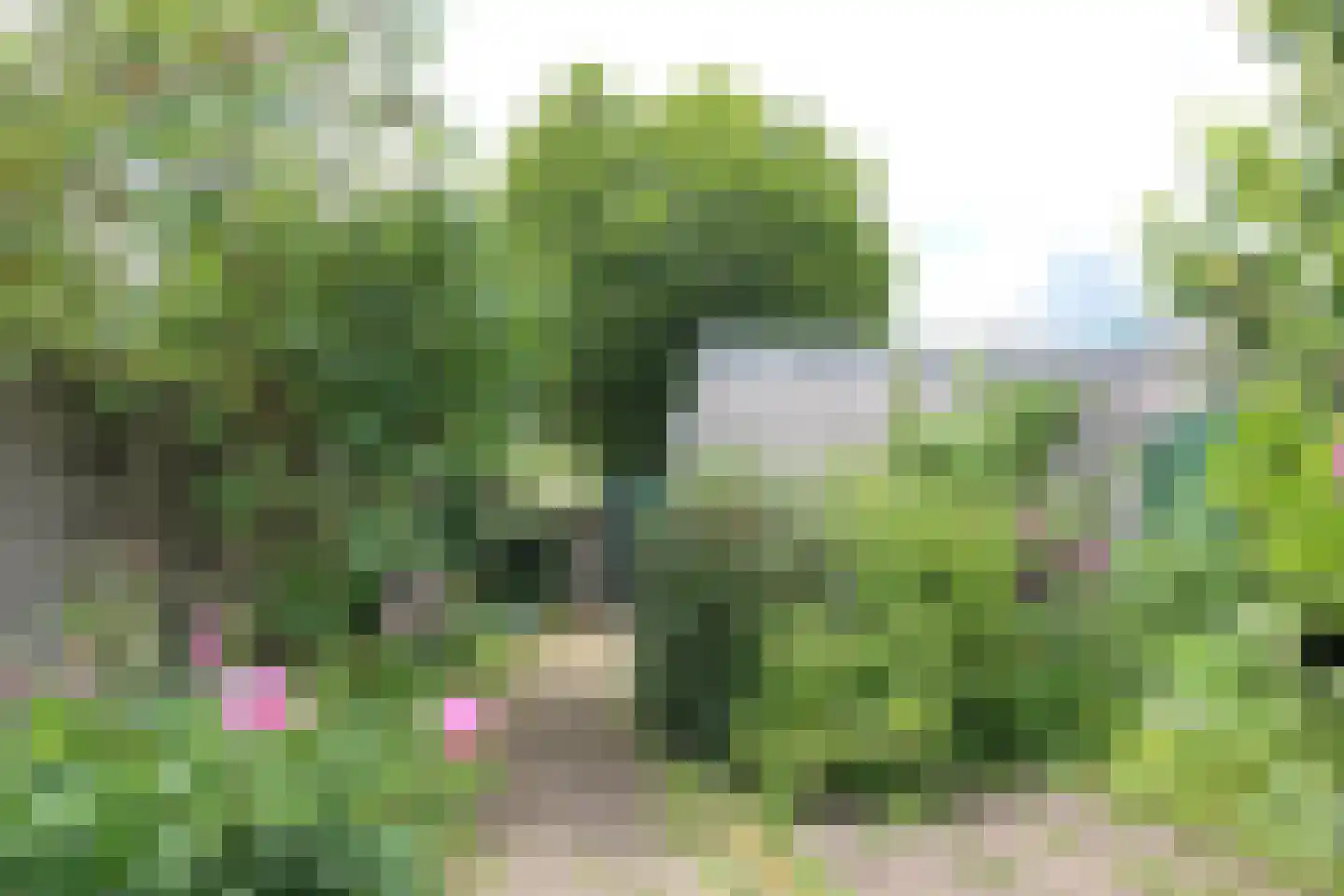 Grevelingenmeer 60 Purmerend thumbnail 62