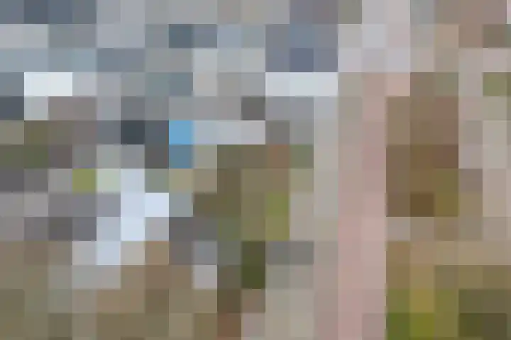 Grevelingenmeer 60 Purmerend thumbnail 7