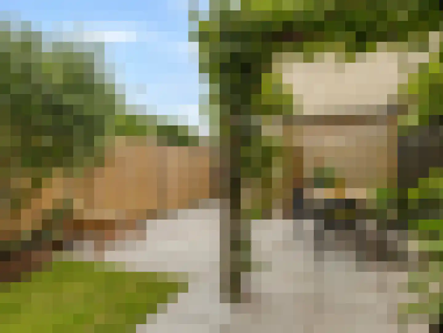 Grevelingenstraat 13 Utrecht thumbnail 21