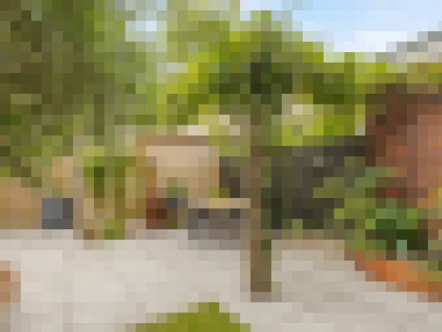 Grevelingenstraat 13 Utrecht thumbnail 22