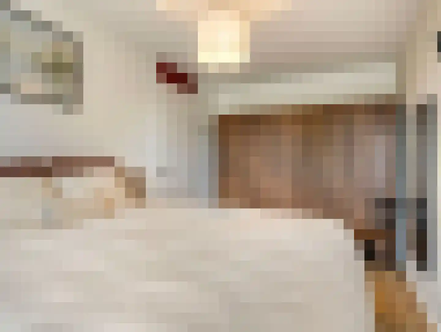 Grevelingenstraat 13 Utrecht thumbnail 30