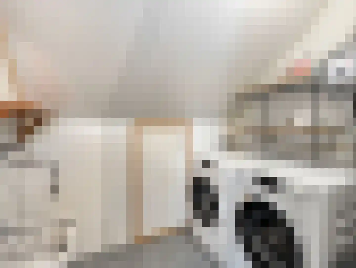 Grevelingenstraat 13 Utrecht thumbnail 45