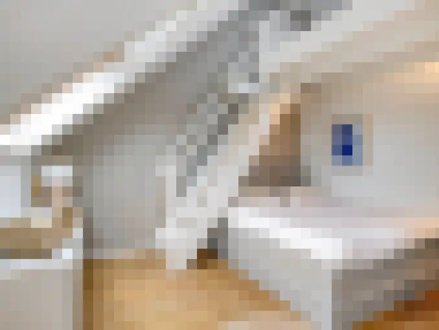 Grevelingenstraat 13 Utrecht thumbnail 50