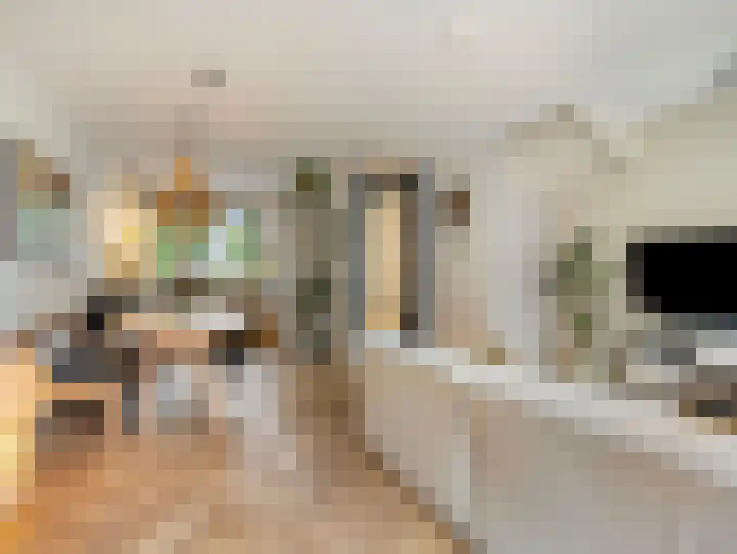 Grevelingenstraat 13 Utrecht thumbnail 7