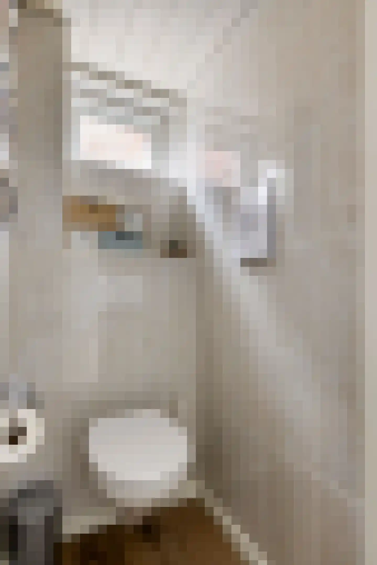Grevelingenstraat 16 Bruinisse thumbnail 12