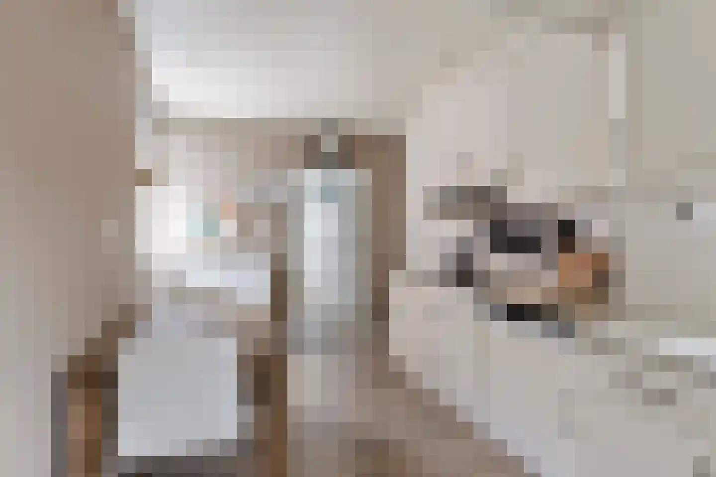 Grevelingenstraat 16 Bruinisse thumbnail 17