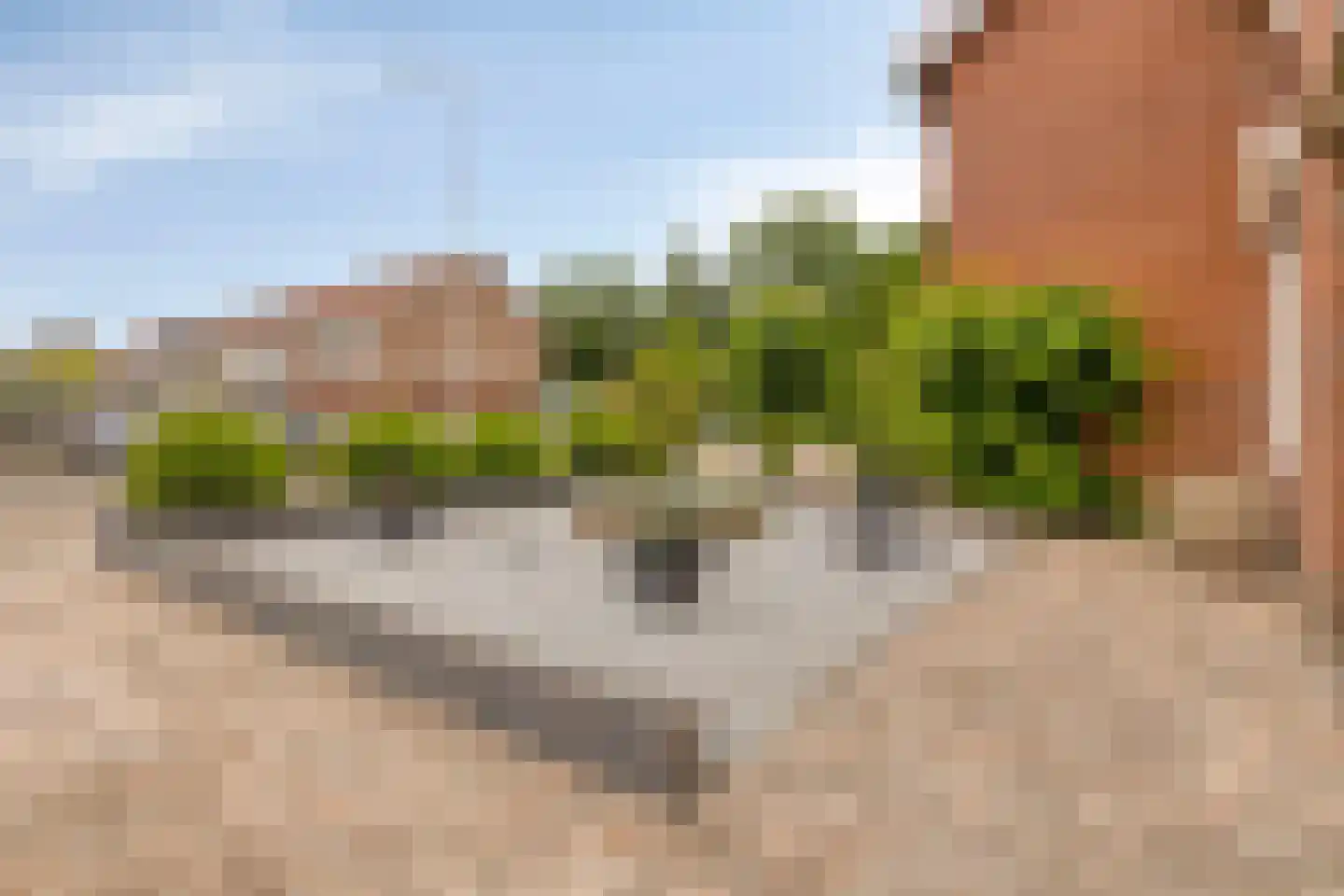 Grevelingenstraat 16 Bruinisse thumbnail 8