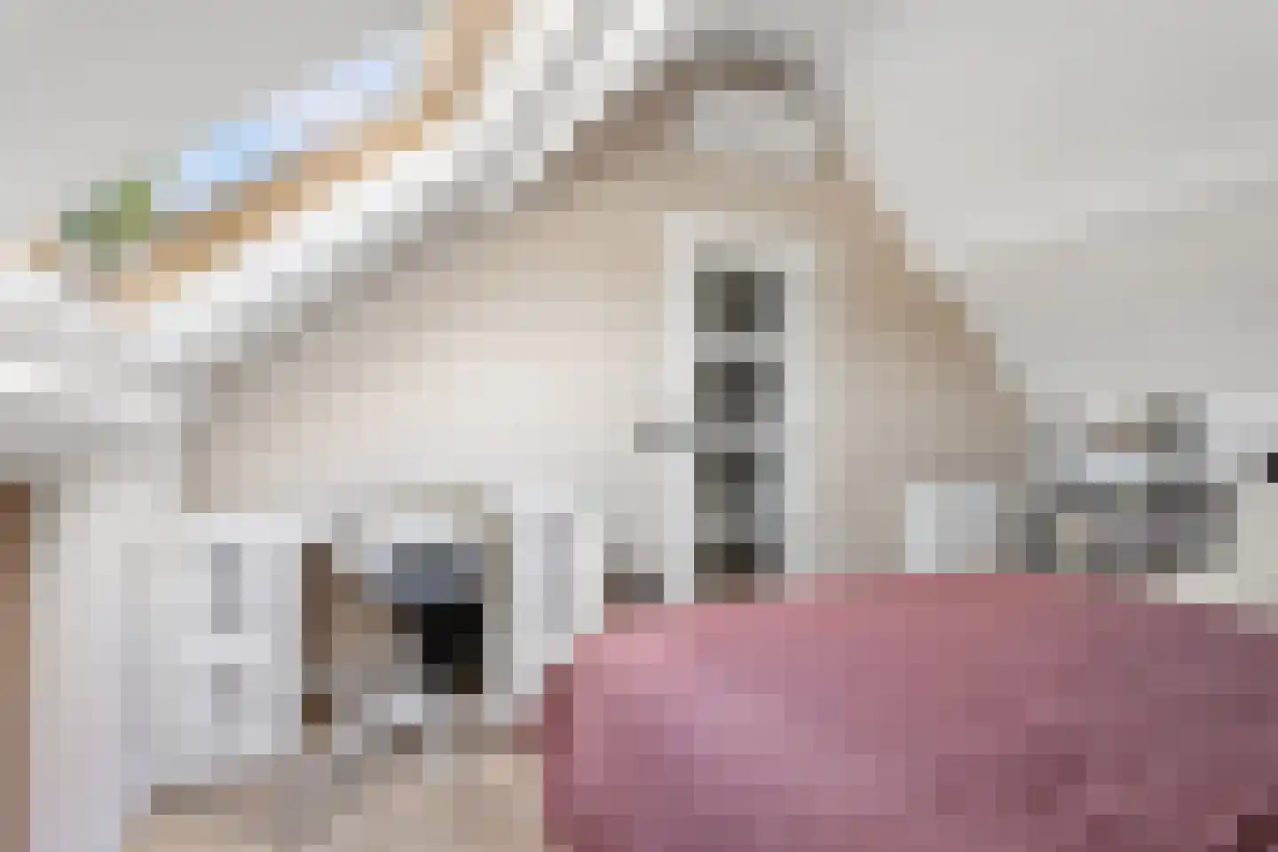 Grevelingenstraat 179 Lelystad thumbnail 33