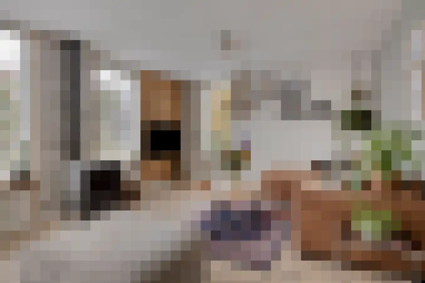 Grevelingenstraat 20 Sirjansland thumbnail 10